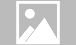 娱乐圈吃瓜小狗小说在线阅读,吃瓜小狗的甜蜜复仇之旅